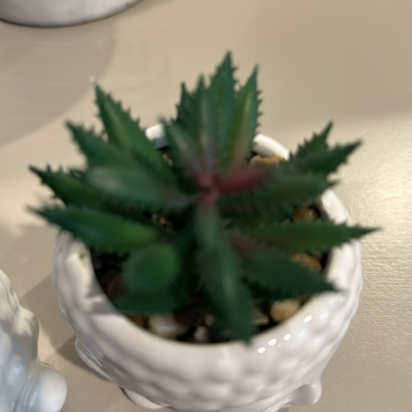 Set of 2 Succulent Buddha Planters New - Picture 10 of 11